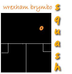 Squash Player